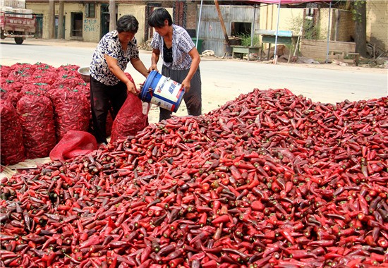 ɽ������ĵ�������������� ӳ����ϲ�õ���