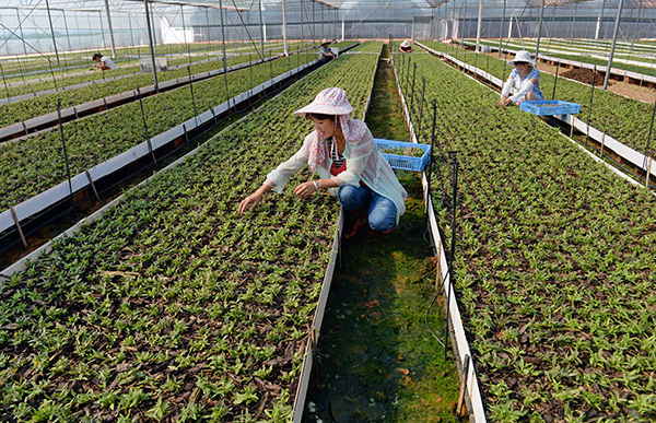 ũ཭ؾŲʯרҵĴ﹤911㣩