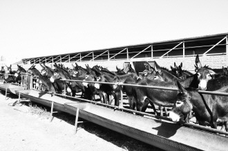 �����������׼Ҵ�����Ʒ¿��ֳ���ؽ���