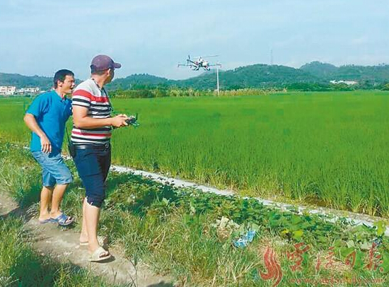 㶫Ƹ˾ֲ˻ʾĦ 200Ķˮֻ