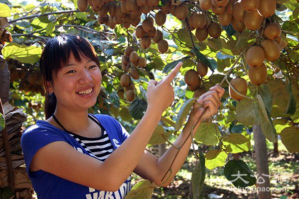 ������Ͽ��Ч��̬ũҵ�����������