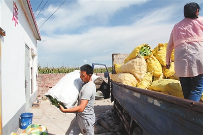 ���ɹŴ�������6��Ķ��ɫ�߲˳���ȫ������