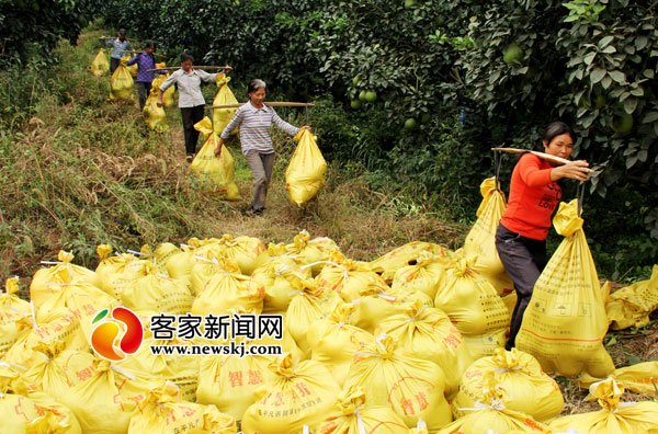 914գϿ»ũׯũڲժյ֡