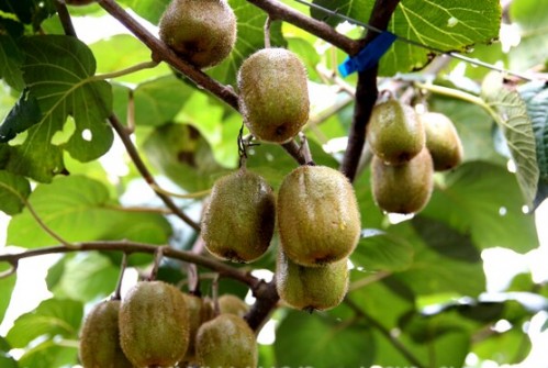 Ĵ봨صƲƺǧĶ⨺Ҽ