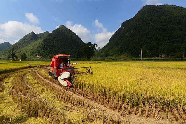 ������ҵ�أ�����ʱ���ջ�æ