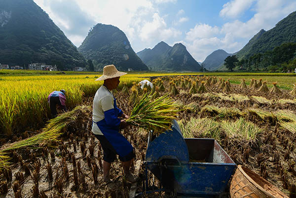 9��15�գ�������ɫ����ҵ�ظ�����ũ���ڵ������ո�ȡ�