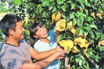 ������������ũ����ũҵ