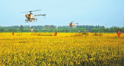 ��ũ�����˻�ֲ����Ч��