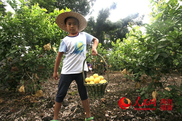 ����׿���ҵ���ʳ��� С���������ժ��Ȥ