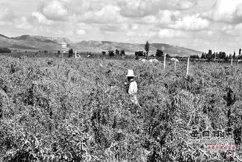 ��轳�Ϊ���ྸԶũ����ƶ�¸�֧����ҵ