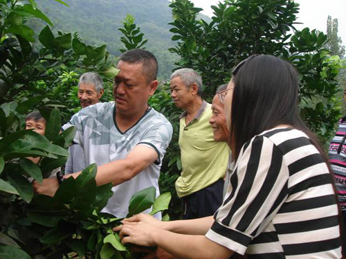 ����ϴ�������վ������㿪չ�̽��＾��������ָ��