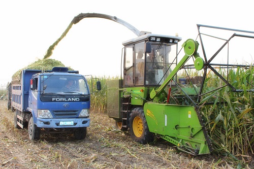 ������Ȩ��ũ���֣������ƹ�ո�������е�������׽ոѱ��Ϊ������