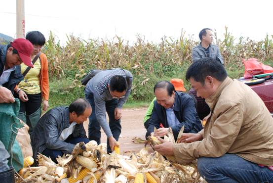 ��������������վʡ����Ķ���׸߲�����ϲ�����