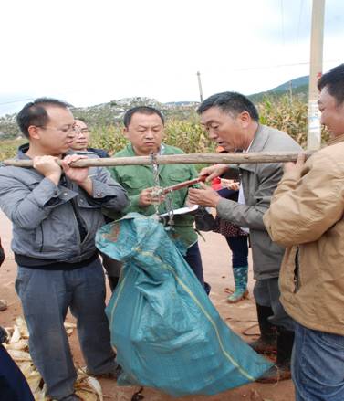 ר�����϶�����������������Բ�������Ǻϣ�һ��ͬ��ͨ�����ա�