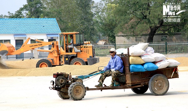 ���ճ����¹�����ϲ����� ũ������æ