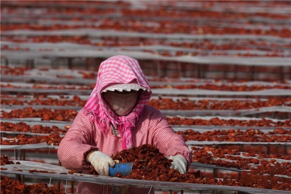 919磬½ŵڶʦ21ɹһλְɹõķѸɡ