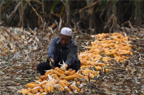 920磬½ɹݣưݣȻذũ񺣹ס