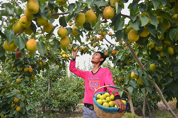 921գ½жʮŹũڲժ档