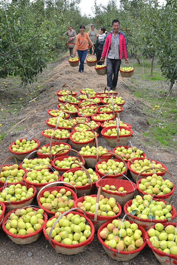 921գ½жʮŹũڰ档