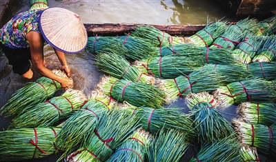 �����ٸ�ͷ����ֳ���ͷ��С�