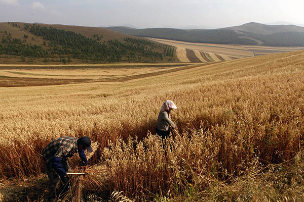 921գӱʡԴعλũոݯ