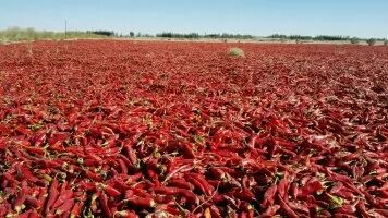 �����������ϲ�����