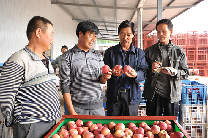 ��������ƻ����ֲ�������56.34��Ķ