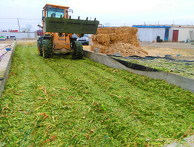 ������������׽ո���������ȫ��չ��