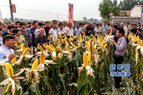 ���ϻ��أ�ũ���ˡ����Ӳơ�