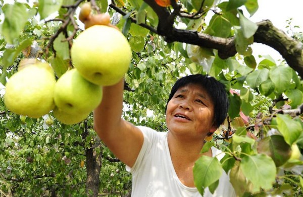 �ӱ������أ���Ѽ��֮�硱����æ