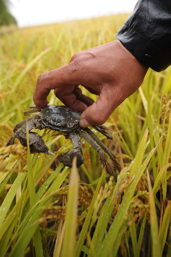 923գڼʡӽֵӴ嵾һũץз