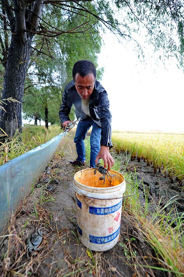 923գʡӽֵӴũѧץз