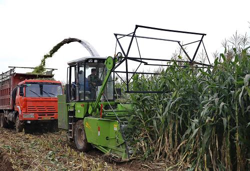 923գӱֲصĹʹôոջֳţഢס