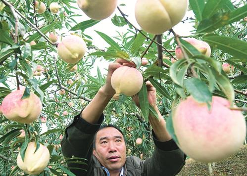 ����»��̳�������ֲ��˶�����ۡ�