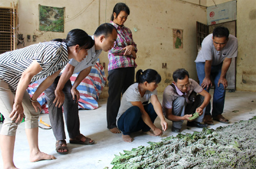 ɫвҵָվﶫؿչɣָ