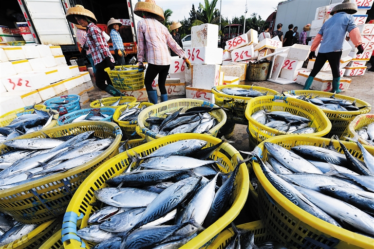 ���������������������