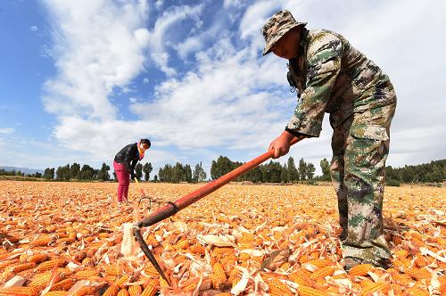 9��24�գ�����Ҵ��������ƽ����«��壬һ����ҵ��˾��Ա���ڷ�ɹ�������ס�