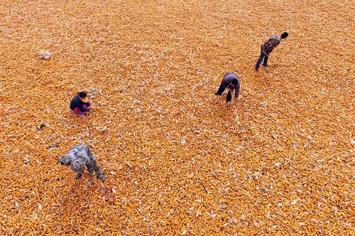 9��24�գ�����Ҵ��������ƽ����«��壬һ����ҵ��˾��Ա������ɹ�������ס�