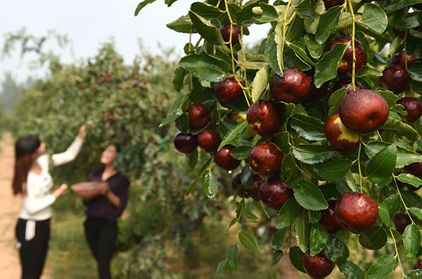 9��23�գ��ο��ںӱ�ʡ�����غ�ׯ���ժ�����档