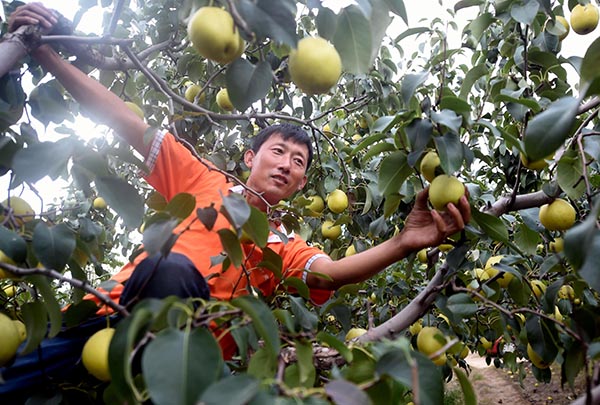 923գӱʡغȴũڲժѩ档