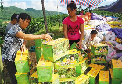 ƹũҵ淶 ʵʩ׼ 캣Ʒũҵ