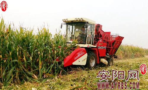 ���ϰ����ء��������ũҵ��е������