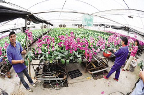 ж̩԰ֳרҵ̽༰ۺϹ¼