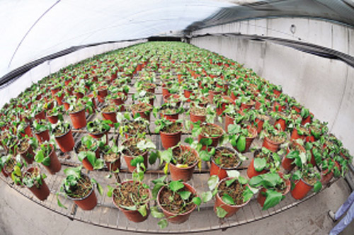 ж̩԰ֳרҵ̽༰ۺϹ¼2