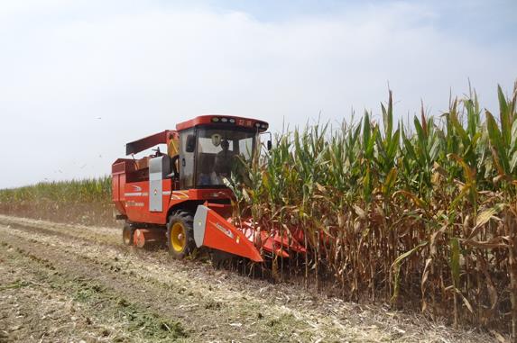 ������Ȫ�ش������׻��ա�ս�ۡ�