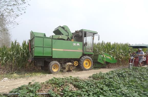 ������Ȫ�ش������׻��ա�ս�ۡ�2