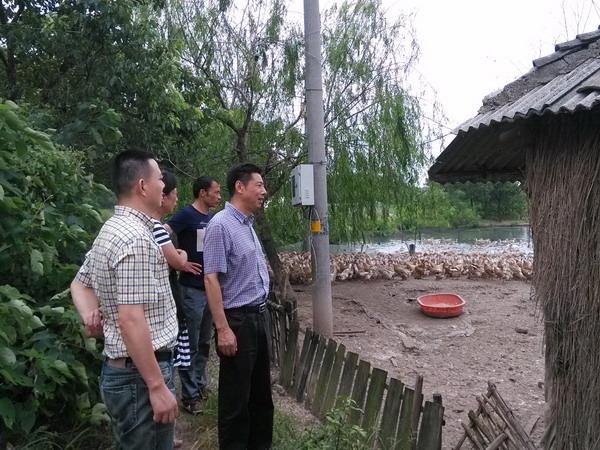 浙江长兴县完成64家保留水禽养殖场全面验收