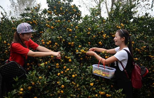 926գϷɽ¯´壬οһũ԰ժ١