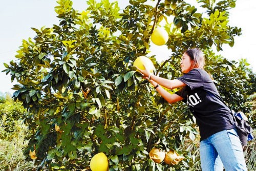 24գɽ԰ͥũڣοڲժ֡