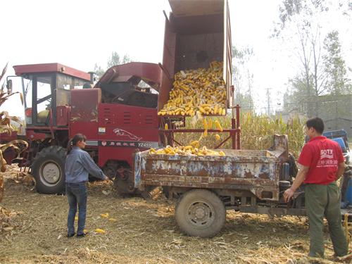 ���ս����ж��ǽֵ������������ո����ũ����������2